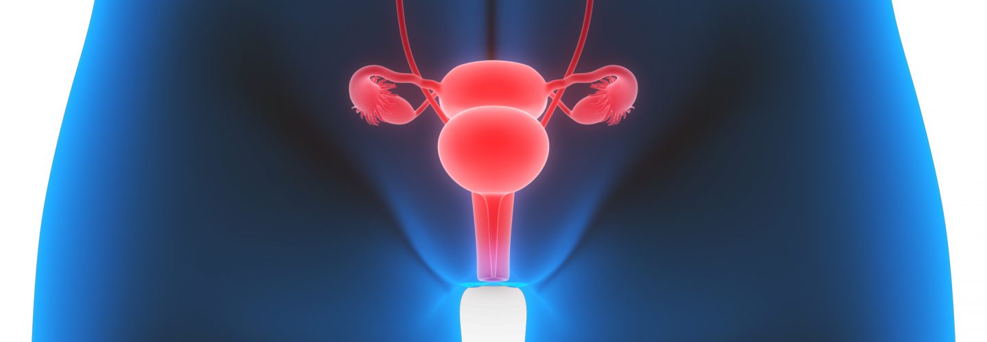 Vagina - Mythes en feiten Vagina - Mythes en feiten